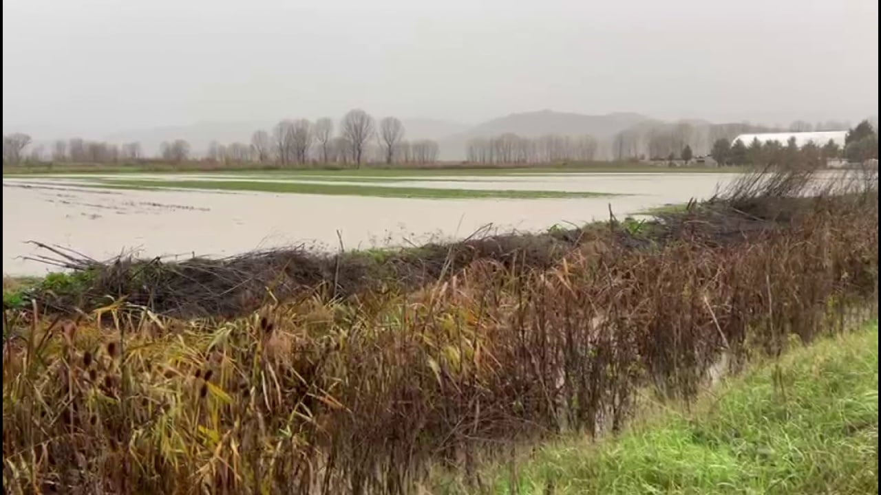 Maliq  15 hektarë nën ujë  Reshjet kanë përmbytur sipërfaqe të mëdha bujqësore në qarkun e Korçës