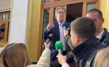 Takimi i Salianjit me strukturat e Durrësit, Tomor Alizoti: Ervini është miku im, një djalë flori, por…