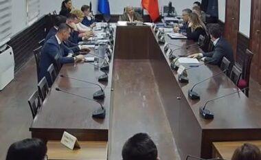 Nuk mund të vish këtu dhe të na ofendosh/ Përplasje në Komisionin e Ekonomisë, Braçe i kthehet Shehajt: Boll po të them… (VIDEO)