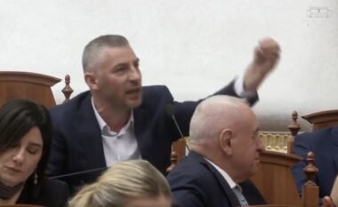 Nallbati i drejtohet Peleshit: Dola para pasqyrës siç më the, por s’pashë ndonjë batakçi, hajdut dhe mashtrues si ty…