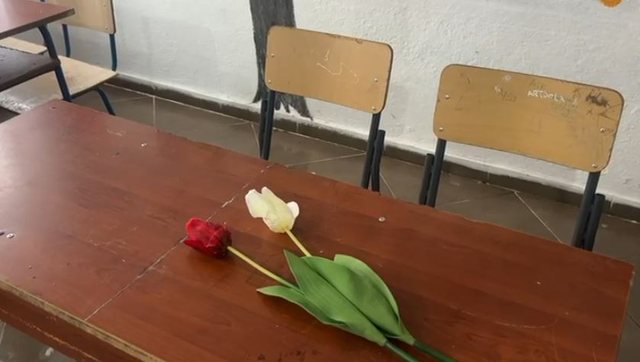 U vra nga 14-vjeçari në Durrës, shkolla vendos lule në bankën e adoleshentit të ndjerë