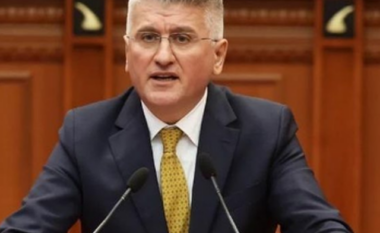 Firmat për Endri Shabani/ Agron Gjekmarkaj dorëzoi dorëheqjen nga funksioni i nënkryetarit të PD, Berisha ia refuzon