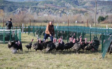 Baldushk, hapet tregu i shpendëve, tradita e fundvitit që mbledh qytetarët e Tiranës