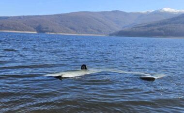 Rrëzohet avioni në Mavrovë, plagosen dy persona nga Kosova