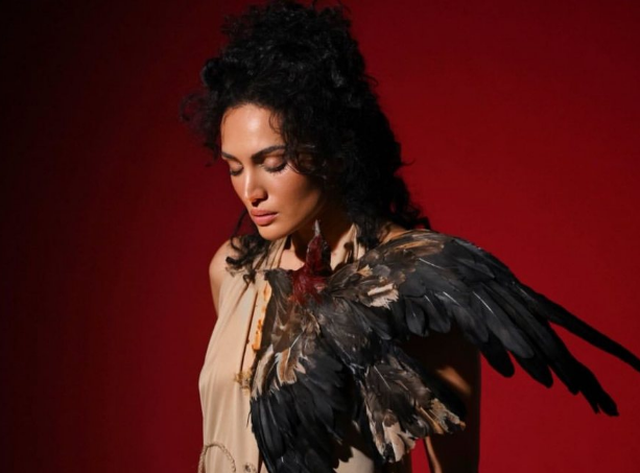 Sheila në Eurovision 2026/ Jo për Shqipërinë