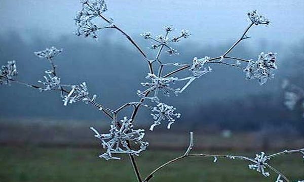 Njihuni me parashikimin e motit 13 Dhjetor 2025, temperatura deri në -3 gradë Celsius