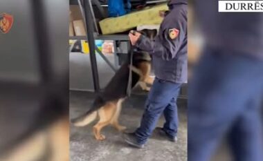 Sekuestrohen lëndë narkotike, armë, bizhuteri dhe 29 mijë euro në Portin e Durrësit, policia arreston 42-vjeçarin