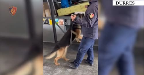 Sekuestrohen lëndë narkotike  armë  bizhuteri dhe 29 mijë euro në Portin e Durrësit  policia arreston 42 vjeçarin