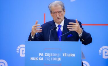 Foltorja e Salianjit dhe Alimehmetit me demokratët, Berisha: Aktivitet privat, s’ka lidhje me PD