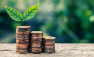 INSTAT: Qeveria çon për mjedisin më pak se 2% të taksave që mbledh në këtë fushë