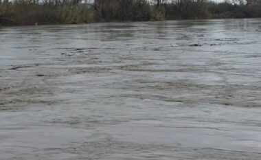 Fier/ Tokat bujqësore ende nën ujë, prurjet në Seman dhe Shkumbin drejt rritjes