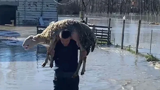 Dalja e lumit Seman nga shtrati shkakton dëme të mëdha/ Fermerët kërkojnë ndihmë urgjente