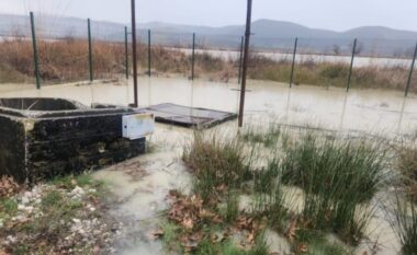Situatë emergjente në Fier, puset mbyten nga shiu! Qyteti mbetet pa ujë