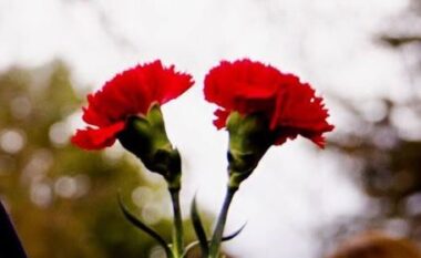 15 vite nga “21 janari”, Rama: Katër viktimat nuk gjejnë dot paqe