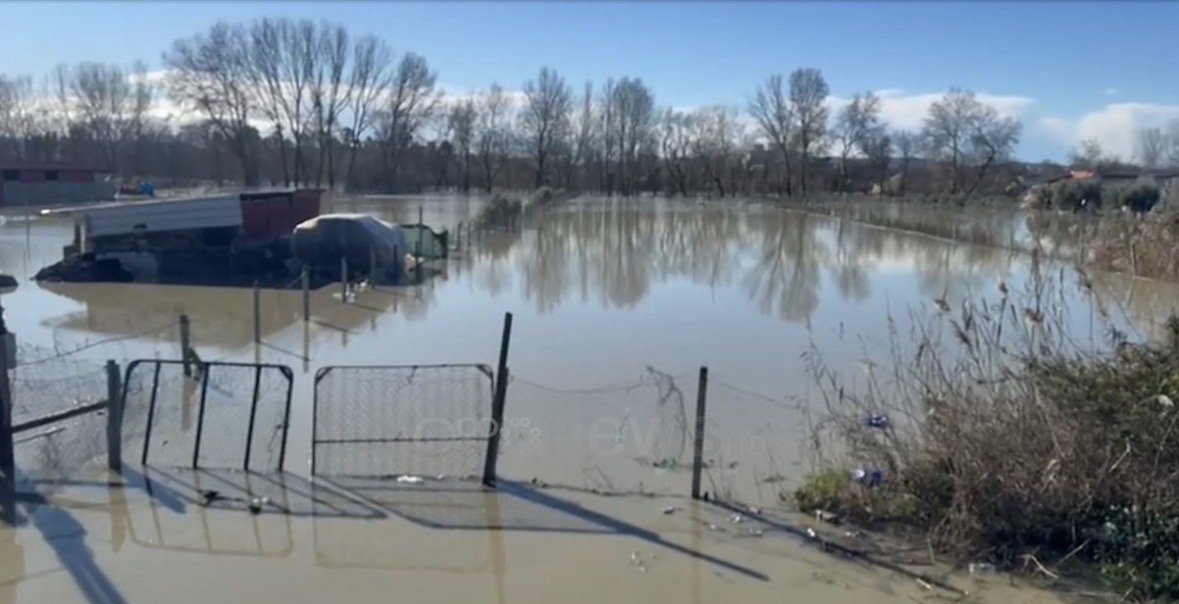 Lumi i Semani del nga shtrati  Përmbytet fshati i Murrizit në Lushnjes  banorët qendrojnë jashtë shtëpive të frikësuar