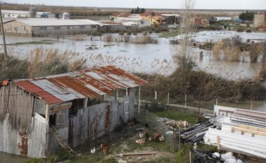 Nga Shkodra te Durrësi, Berati dhee Gjirokastra/ Agjencia Kombëtare e Mbrojtjes Civile: Situatë e rënduar nga moti i keq në disa qarqe të vendit