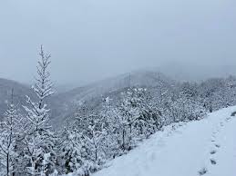 Reshjet e dëborës/ Bllokohet aksi Krujë–Qafë Shtamë, izolohen disa fshatra