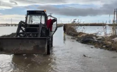 Dalja e lumit Vjosë nga shtrati përmbyt serat në fshatin Kafaraj/ Fermerët: Kemi falimentuar, kërkojmë dëmshpërblim nga shteti