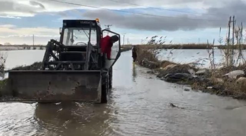 Dalja e lumit Vjosë nga shtrati përmbyt serat në fshatin Kafaraj  Fermerët  Kemi falimentuar  kërkojmë dëmshpërblim nga shteti