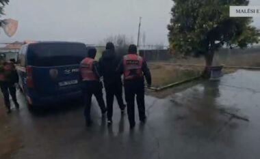 Kishin përshtatur ambiente për kultivim të lëndëve narkotike/ Arrestohet një person në Shkodër, ndalohen edhe 4 punonjës të OSHEE
