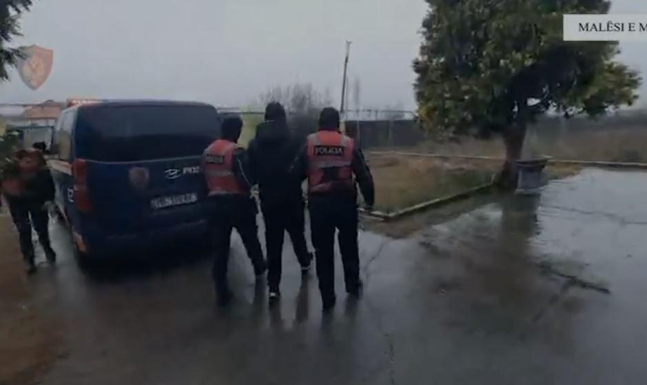 Kishin përshtatur ambiente për kultivim të lëndëve narkotike/ Arrestohet një person në Shkodër, ndalohen edhe 4 punonjës të OSHEE