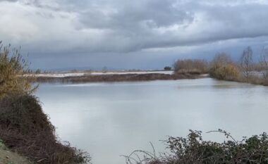 Vjosa del nga shtrati, urdhër evakuimi për banorët në Fier