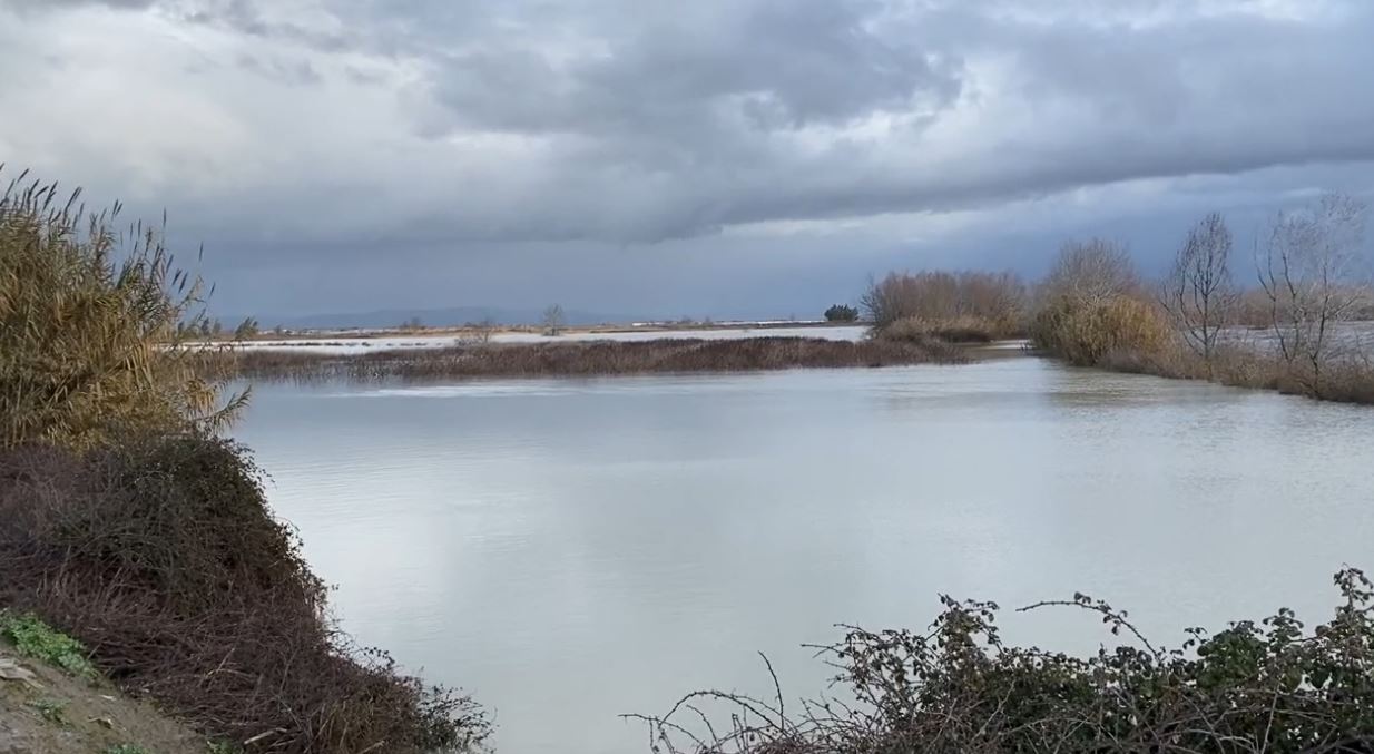 Vjosa del nga shtrati, urdhër evakuimi për banorët në Fier