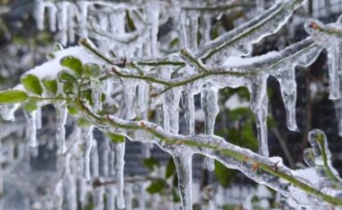 I ftohti “ngrin” qarkun Elbasan, temperatura deri në –15°C, disa zona probleme me furnizimin me energji
