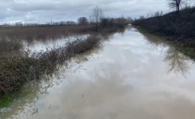 Reshjet intensive të shiut nxjerrin nga shtrati lumin Ishëm në Fushë-Krujë, përmbyten disa hektarë toka bujqësore