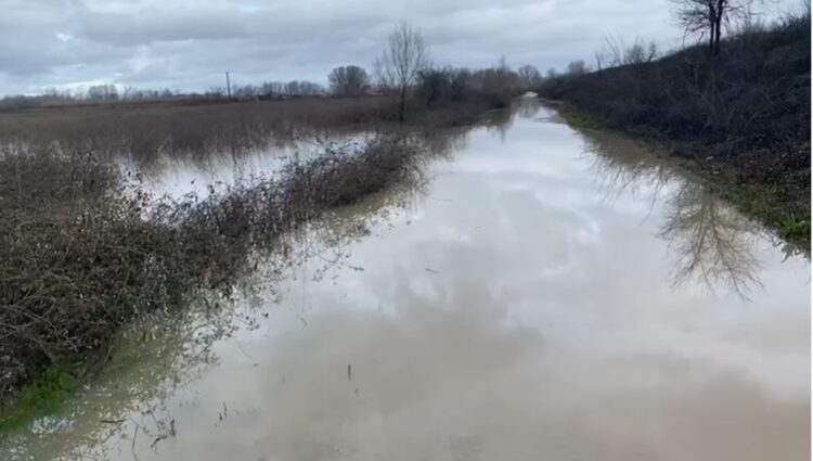 Reshjet intensive të shiut nxjerrin nga shtrati lumin Ishëm në Fushë-Krujë, përmbyten disa hektarë toka bujqësore