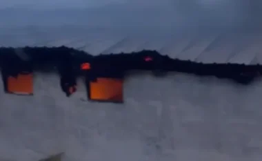 Përfshihet nga flakët një stallë me gjedhë në Selenicë/ Digjen 22 bagëti, dyshohet se shkak u bë një shkëndijë elektrike