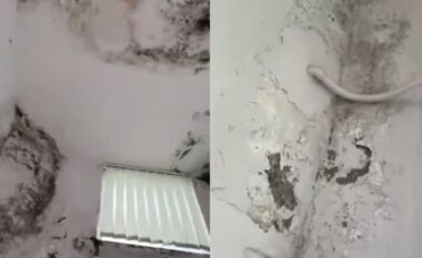 Korreshi denoncoi situatën alarmante, reagon Ministria e Shëndetësisë: Spitali i Lushnjës vijon të ofrojë shërbime në kushte të sigurta, pamjet e publikuara…