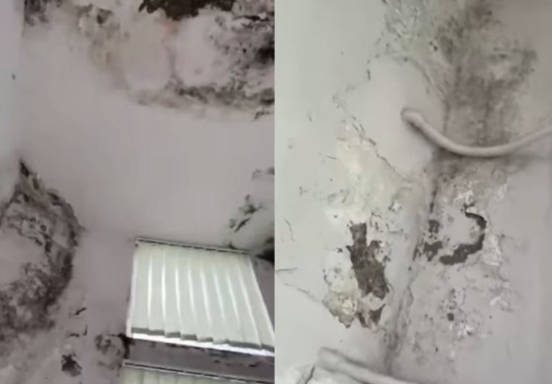 Korreshi denoncoi situatën alarmante, reagon Ministria e Shëndetësisë: Spitali i Lushnjës vijon të ofrojë shërbime në kushte të sigurta, pamjet e publikuara…