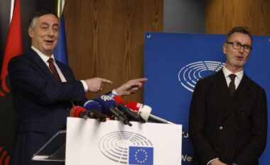 Amendamenti i PS për pengimin e pezullimit të ministrave/ Gonzato: Të mos preket Reforma në Drejtësi, presim që të konsultohemi për këto nisma