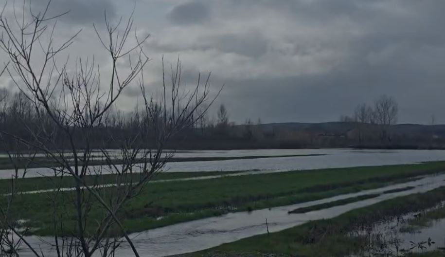 Reshjet e shiut në qarkun e Shkodrës, në Obot prezencë uji, toka bujqësore të përmbytura (VIDEO)