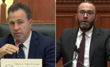 “Kërko falje që shkele Kushtetutën me qëndrimin për padinë e Ramës”/ Bardhi- Peleshit: Nxirreni Ulsiun nga biblioteka