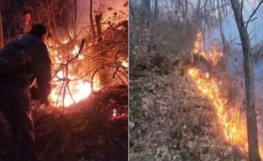 Pogradeci “përfshihet” nga flakët! Ndizen dy vatra zjarri në dy fshatra, terreni malor vështirëson punën për shuarjen