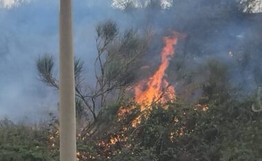 Zjarr i madh në Vlorë, flakët e favorizuara nga era rrezikojnë disa banesa