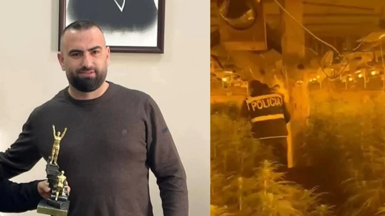 U arrestua për kultivim lëndësh narkotike në magazinën e tij në Peqin  lirohet drejtori i Burgut të Rrogozhinës