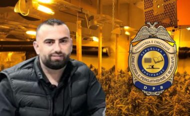 Drejtori të Rrogozhinës iu zbuluan tre mijë rrënjë kanabis në banesë, reagojnë Burgjet: E kemi pezulluar nga detyra