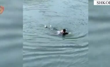 VIDEO/59-vjeçarja tenton të mbytet në ujërat e Lumit të Bunës, shpëtohet nga punonjësit e policisë