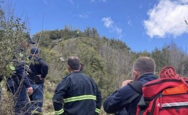 PAMJE/ Automjeti del nga rruga dhe përfundon në humnerë, shpëtohet shoferi nga ekipi i shpëtimit