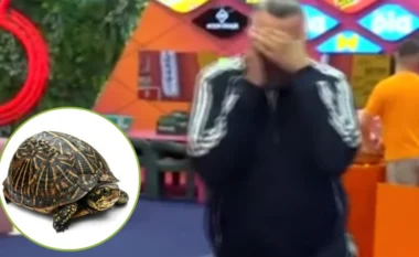 “Kam frikë”, Rogerti trembet keq nga breshka që Vëllai i Madh ua futi banorëve në shtëpi si provokim