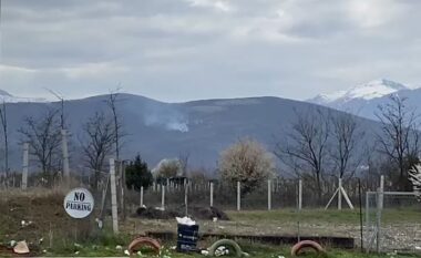Përfshihet nga zjarri masivi pyjor te “Suka e Mamëzit” në Kukës, era favorizon përhapjen e flakëve