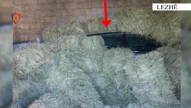 Vrasja e dyfishtë në Lezhë/ Autorët mbuluan makinën me bar, e morën me qira dhe i hoqën targat