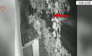 Lëvizte me armë dhe lëndë eksplozive dhe mjet pa targa për të kryer një ngjarje kriminale, arrestohet 37-vjeçari (EMRI)