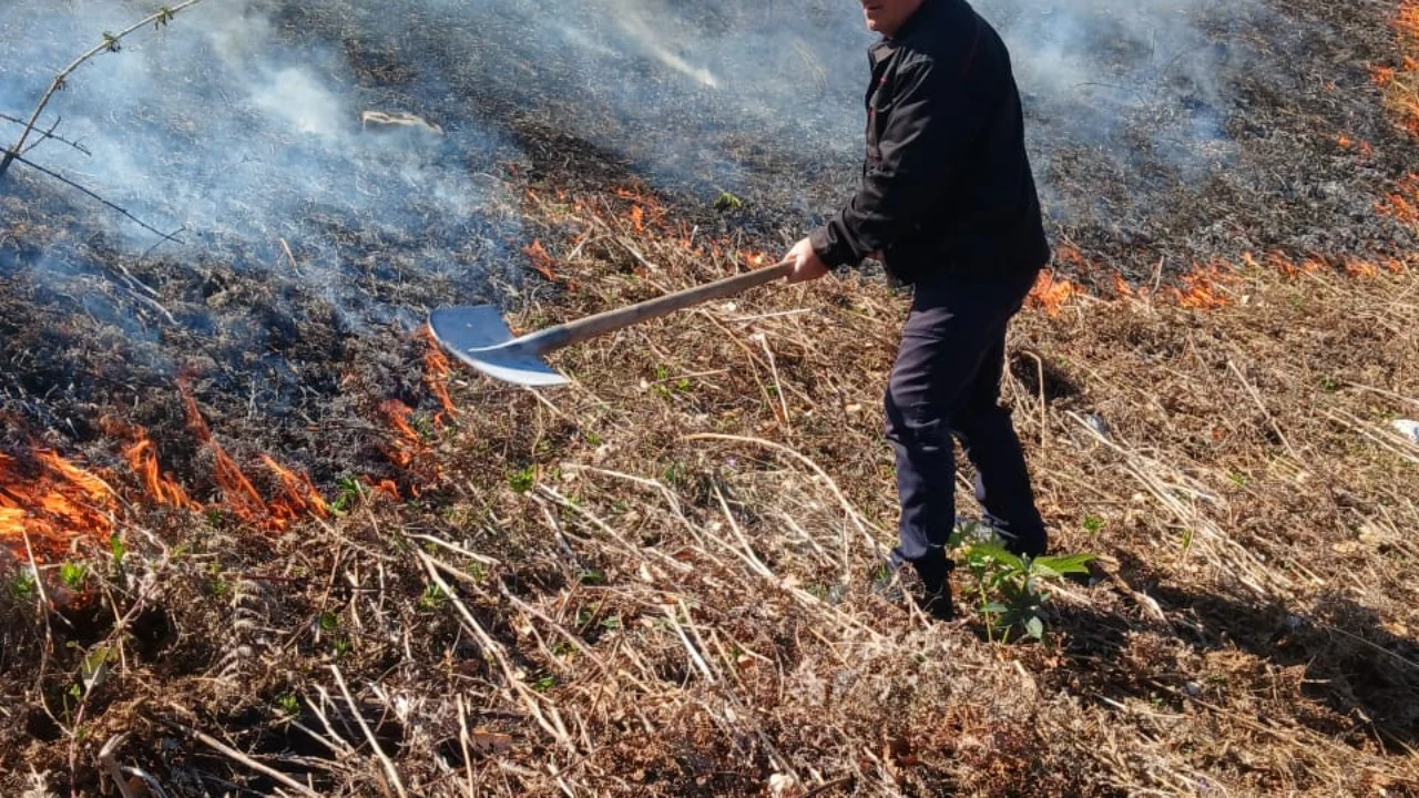 Rikthehet situata problematike e zjarreve në Elbasan  flakët përhapen nga djegia e sipërfaqeve bujqësore