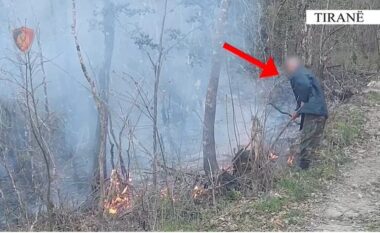 Ndezi zjarr në Dajt dhe rrezikoi masivin pyjor të Parkut Kombëta, arrestohet 62-vjeçari në Tiranë
