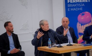 Berisha për Salianjin: Unë sulmoja Ergys Agasin, ai drekonte me të! Përdori Suel Çelën për të kërcënuar demokratët