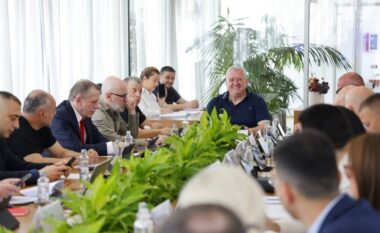 Komiteti Ekzekutiv përcakton kryetarët dhe anëtarët e Komisioneve të Përhershme të FSHF-së